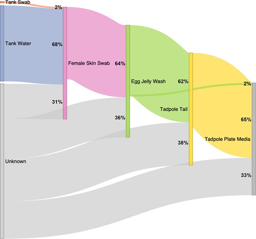 Sankey diagram conceptualizing flow of microbial taxa through the environment and frog life stages, based on FEAST analysis. Percentages indicate the proportion of bacteria attributed to that particular source for each sample type (‘sink’)—e.g. on average, 68% of the bacterial communities found on female skin were determined to be contributed by tank water. Further details of calculations are provided in Supplementary Table S11. Bioballs are not included in this analysis as they are not in direct contact with frogs and are similar in composition to tank wall swabs. Tadpole plate swabs were not analysed as a sink due to their similar composition to tadpole plate media.