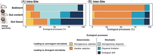 Ecological processes driving the assembly and shift of bacterial communities in each habitat. Relative importance of each assembly process governing the bacterial communities’ assembly within sites (intrasite, A) and among sites (intersite, B) for each habitat. For detailed percentage of each ecological process contribution see Table S8 and for statistical differences between habitat see Table S9.
