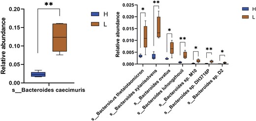 Graphical visualization of eight significantly differentially abundant Bacteroides species in the gut microbiome of H and L mice.