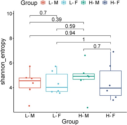 Alpha diversity of gut microbiota determined by Shannon diversity index. Group H-M—short-lived heavy males, L-M—long-lived light males, H-F—short-lived heavy females, and L-F—long-lived light females.