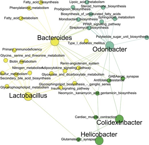 Interaction network of bacterial genera significantly correlated to the GABAergic and glutamatergic synapses. Visualization of significant correlations based on Spearman Rank coefficient (P ≤ .05).