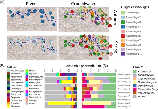 Groundwater and river assemblages of co-occurring OTUs along the alpine gradient. (A) Base map (ESRI World Shaded Relief) with sites depicting the relative assemblage proportion of the 10 recovered assemblages as pie charts with assemblages 1–10 shown in their respective colors. (B) Relative contributions of fungal taxa to assemblages on genus (left) and phylum (right) level, respectively.