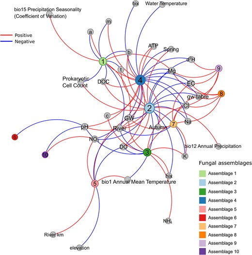 Network plot of assemblages correlating with environmental variables (Pearson correlation; P < .05) visualized using the Force Atlas layout in Gephi (https://gephi.org/) with blue edges depicting negative correlations and red edges depicting positive correlations. The size of nodes represents the node degree, which depicts the total number of edges (environmental variables) connected to that node (c = coble peak c, b = coble peak b, t = coble peak t, a = coble peak a, m = coble peak m, hix = humification index, bix = biological/freshness index, d2H = ratio of stable hydrogen isotopes, DO = dissolved oxygen, ATP = intracellular ATP).
