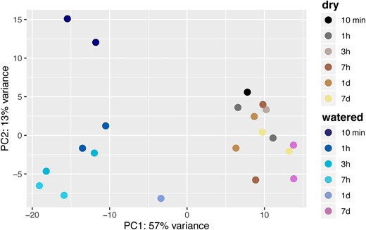 Principal components analysis of transcriptomes according to KEGG Ortholog functional annotations across soil samples.