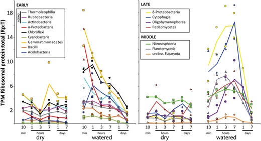 Ribosomal protein gene transcripts as a fraction of the total (Rp: T) among the most transcriptionally active microbial classes in the Namib soil community (> 1% TPM average in dry or watered samples). Left panel shows early response classes whose Rp: T-ratios peak within the first hour after watering. Right panel includes classes with Rp: T maxima 3 and 7 h after watering (middle and late response taxa, respectively).