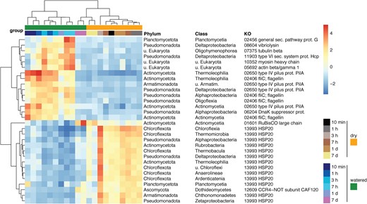 Temporal transcription patterns of the 30 most variable genes among those with significantly differential transcription along the time series. Transcript data was aggregated along taxonomic (class) as well as functional (KEGG Orthologs) groups for the analysis. Values were normalized using the Variance Stabilizing Transformation (DESeq R package).