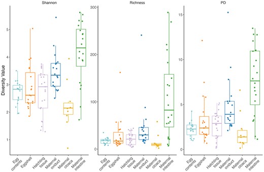 Shannon Diversity index values, Richness, and Faith’s PD index values for all sample types. Points represent individual diversity value for each sample, boxes represent median and quartiles of group diversity. The shape of the points indicates maternal (squares) or offspring (circles) samples.