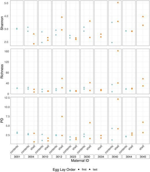 Shannon Diversity index values, Richness, and Faith’s PD index values for egg contents and eggshells of first and last laid egg in each clutch. Colors represent sample types and shapes represent egg lay order.