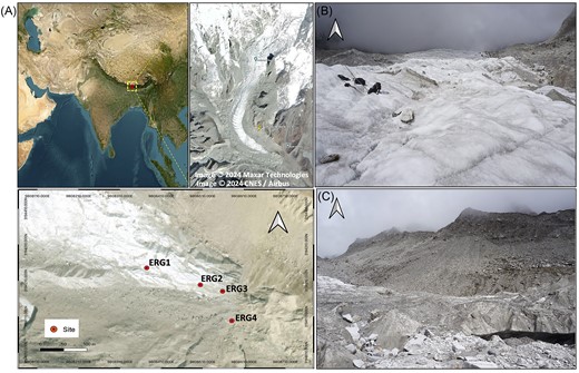 Location of the study area. (A) Map of sampling sites across the transect in the ERG, where ice-meltwater and sediment samples were collected in duplicates and triplicates, respectively, from each site. (B) Supraglacial site and, (C) Proglacial site. The map was generated in QGIS v3.26.2.