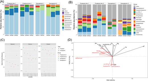 Taxonomic classification and diversity of bacterial communities across the supraglacial and proglacial samples of ERG. (A) Bacterial taxonomic composition at the phylum level. (B) Bacterial taxonomic composition at the genus level. (C) Alpha diversity indices (Observed, Shannon, and Simpson) showing the highest bacterial diversity in the farther proglacial site. (D) RDA plot indicating the correlation between the abundant bacterial genera and selective sample physicochemical parameters.