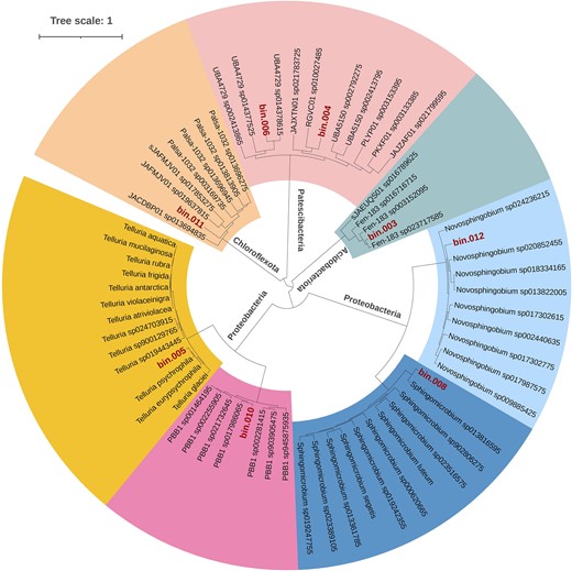 Phylogenetic tree of the eight MAGs recovered from the ERG showing affiliation to four phyla, viz. Acidobacteriota, Chloroflexota, Patescibacteria, and Proteobacteria. The tree was inferred based on the concatenated gene alignment of universal marker genes using the GTDB-Tk (v2.3.2). FastTree (v2.1) was employed to construct the phylogenetic tree, and iTOL was used for the final representation.