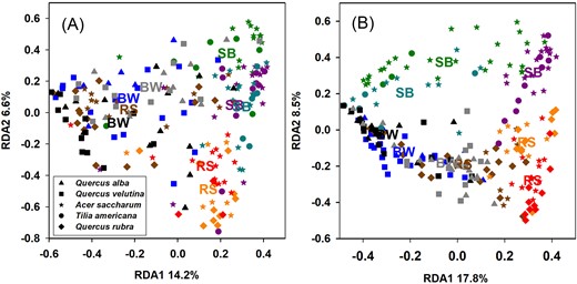 RDA ordination plots for Hellinger-transformed T-RFLPs profiles in (A) April and (B) August. Colors represent each forest stand, with stand centroids also shown using labels for each ecosystem type: BW=BOWO, SB = SMBW, and RS = SMRO .Shapes indicate different leaf species.
