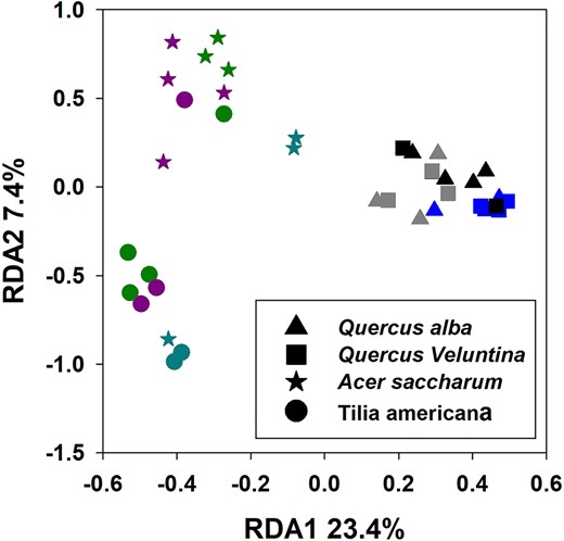 RDA ordination plot of pyrosequencing OTUs. Colors represent different forest stands, with stand centroids labeled with each ecosystem type: BW = BOWO and SB = SMBW. Shape indicate leaf species as indicated by the key found on the plot.