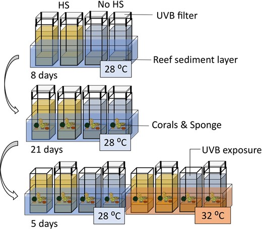 Graphical representation of the experimental set-up, previously displayed in Stuij et al. (2023a).