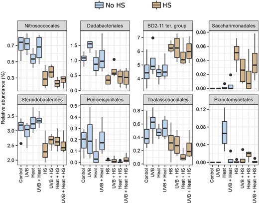 Boxplots of the relative abundance of the orders with more than 5.00% importance in the Boruta analysis with HS or Heat as response variable. Significant predictors for HS: Nitrosococcales, Dadabacteriales, BD2-11 terrestrial group, Saccharimonadales, Steroidobacterales, Puniceispirillales, and Thalassobaculales. Significant predictor for Heat: Planctomycetales. Relative abundances are grouped per treatment.