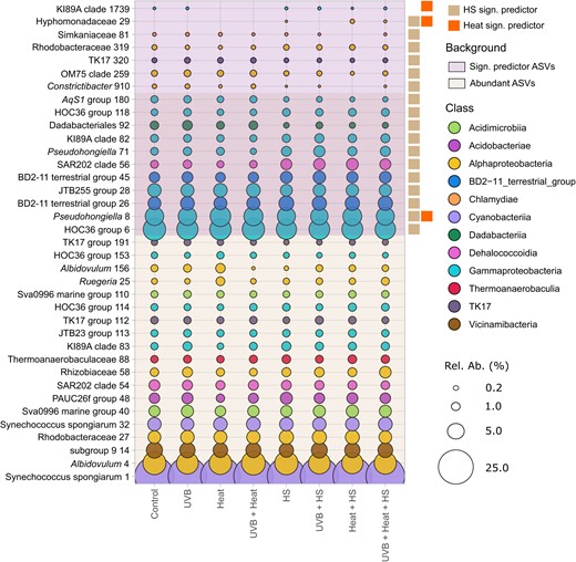Mean relative abundances of the 30 most abundant and significant predictor ASVs (17 for HS; 3 for Heat). Relative abundances are grouped per treatment. Symbols are proportional to the relative abundance of the respective ASV and color-coded following their class-level taxonomic assignment. ASVs are labeled with their lowest taxonomic classification. Hs- and Heat-significant predictor ASVs are labeled at the right side of the figure.
