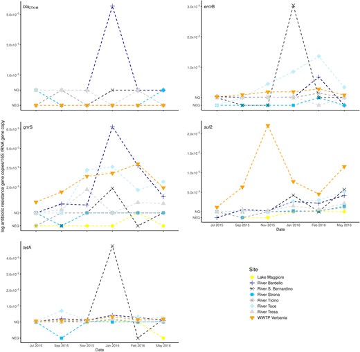 Abundances of the ARGs (blaCTX-M, ermB, qnrS, sul2, tet A). The mean gene abundances (normalized to 16S rRNA gene) measured in different sites and dates. NQ indicates samples that resulted positive but not quantifiable, NEG refer to samples where the gene was not detected.