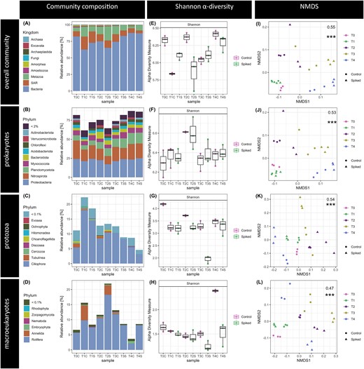 Active microbial communities of the MBBR biofilm carriers shown as microbial community composition, Shannon alpha diversity, and beta diversity of the experimental groups (C—Control, S—Spike for the time points T0-T4). All figures are given for the total community (A, E, I) and subsets with prokaryotic (B, F, J), protozoan (C, G, K) and macroeukaryotes (D, H, L) rRNA contigs. Bar plots (A-D) show the relative mean abundance for varying taxonomic orders of the microbial communities. Shannon alpha diversity (E-H) is given as boxplots with whiskers indicating standard deviation across triplicates per experimental group. Nonmetric multidimensional scaling ordination plots (I-L) were performed on rRNA contig abundances per sample and include the PERMANOVA R2 and p-value when testing the “timepoint” as factor.