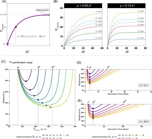 Modeling of microbial growth in the presence of enriched isotopic label (A and B) and associated error in biomass 2F quantification (C) and growth rate/generation time (D and E). A schematic figure (Panel A) visualizes how microbial growth rate is calculated as a function of biomass isotopic enrichment (FT), label strength (FL), incubation time (t), and water assimilation efficiency constant (aw) (Eq. 1). Similarly, Panel B displays example output of the microbial growth model, where aw = 0.7. Isotopic enrichment increases as a function of time but depends upon isotopic label strength (FL) and growth rate (µ, noted above each plot). In Panels C–E, we display quantification ranges where relative error in the growth rate measurement is <50% of the growth rate itself (relative error = σµ/µ × 100%, where µ is apparent growth rate). In Panel C, relative error is plotted against biomass deuterium enrichment (2Fbiomass) for label strengths 2FLranging from 20 to 50 at. %. Plotted points indicate the of minimum error for each isotopic label. Along the top axis of Panel C, the lower limit, error optimum, and upper limit of quantification, are noted, for the isotopic label strength of 2FL = 35 at. %. The key results from Panel C are summarized in Table 2. In Panels D and E, relative error is plotted against biomass generation times in the context of a simulated SIP incubation. In these examples, the incubation times of 5 days (Panel D) and 30 days (Panel E) are chosen. Along the top axes of Panels D and E, the minimum, optimum, and maximum quantifiable generation times are noted for the isotopic tracer strength of 2FL = 35 at. %. These generation times correspond to the limits of quantification and optima noted in Panel A.