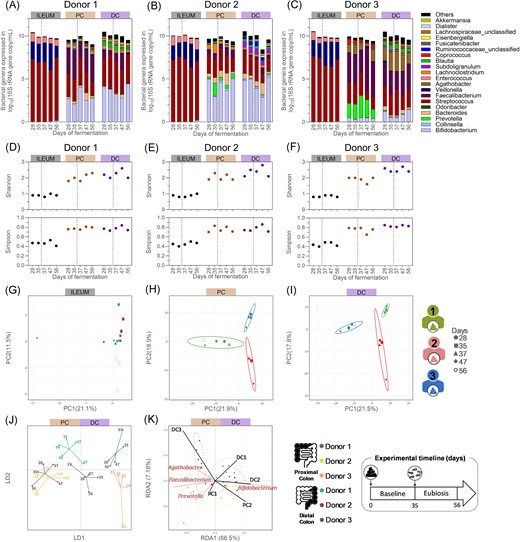 Quantitative microbiome profiling from the ileum inoculated with a bacterial consortium, from the proximal colonic, and distal colonic compartments inoculated with faecal inoculum of donor 1 (A), 2 (B), or 3 (C), and their resulting bacterial α-diversity indexes (D–F) and β-diversity (G–K), from samples collected during the baseline and eubiosis periods. (A–F) The dotted lines separate the baseline period from the eubiosis one, which starts with the inoculation of the fungal species for three consecutive days (d35–d37). (A–C) Each bar represents the total bacteria concentration in the sample, whereas the colours represent the proportion of each bacterial genera. Gut bacteriome β-diversity based on operational taxonomic unit (OTU) relative abundances and analysed through separated PCA for all ileum (G), proximal (H), and distal (I) colon compartments, and through DAPC (J) and RDA (K) for all colon compartments only. PC = proximal colon; DC = distal colon; DAPC = discriminant analysis of principal component; LD = linear discriminant; RDA = redundancy analysis; PCA = principal component analysis; and PC (x- and y-axis of PCA plot) = principal component.