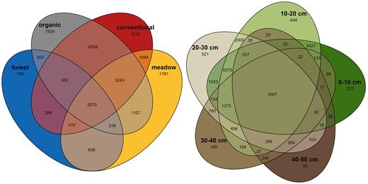Venn diagram of shared and unique fungal OTUs in forest, meadow, organic, and conventional treatments (left) and in the five different soil layers (right).