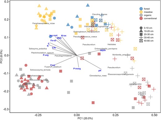 Principal coordinates analysis (PCoA) ordination with Bray–Curtis distance showing the first and second axes (PC1 and PC2). Each data point is a sample. Colors represent the four treatments and the shapes of the five soil layers. Significant environmental variables fitted with vegan's envfit-package and the 0.1% most abundant best fitting fungal OTUs based on species scores picked with ordiselect-function are shown in the figure. PCoA with first and third axes is presented in the Fig. S3.