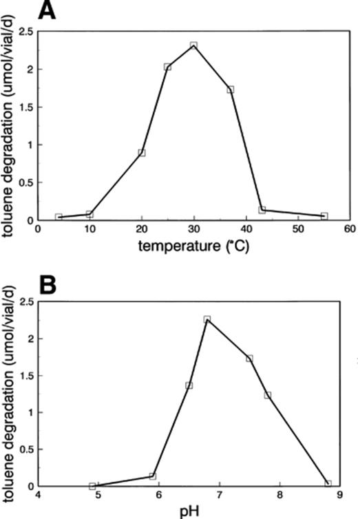 Temperature (A) and pH (B) dependence of the toluene degradation rate of LET-13 in two-liquid-phase incubations with amorphous manganese oxide as electron acceptor. The results of the triplicates were within 5% of each other.