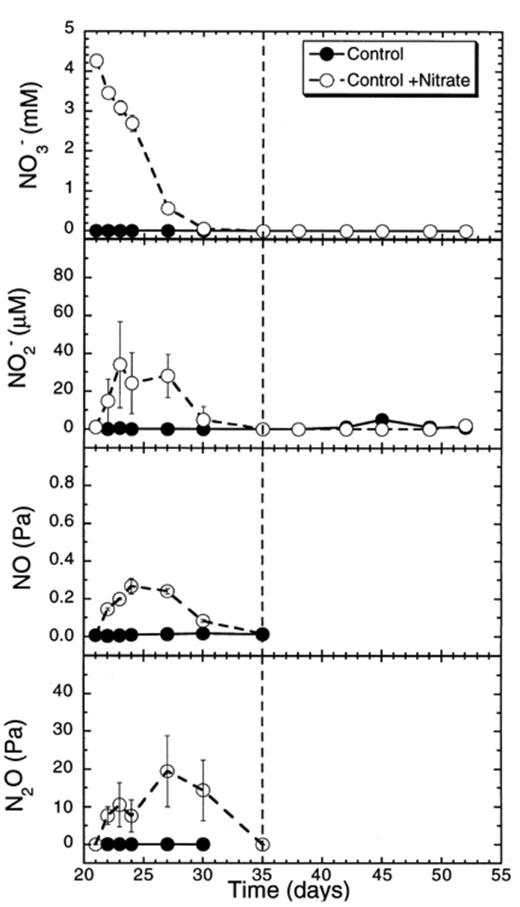 Concentrations of nitrate and of denitrification intermediates (NO−2, NO, N2O) in rice soil slurries supplemented and not supplemented with nitrate. The dashed line indicates the time when methanogenesis in the nitrate treatments resumed. Data points are average of duplicate flasks and error bars represent ±1 S.D.