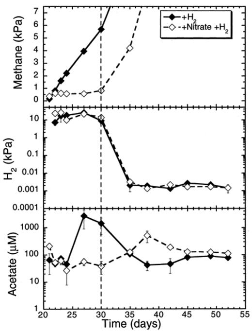Effect of hydrogen additions on CH4 and H2 partial pressures, and on acetate concentrations in rice soil slurries supplemented and not supplemented with nitrate. The dashed line indicates the time when methanogenesis in the nitrate treatments resumed. Data points are average of duplicate flasks and error bars represent ±1 S.D.