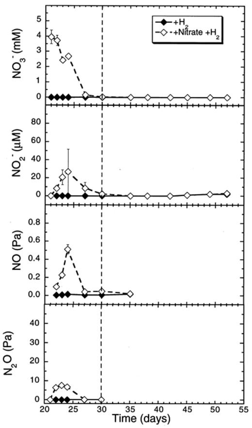 Effect of hydrogen additions to concentrations of nitrate and of denitrification intermediates (NO−2, NO, N2O) in rice soil slurries supplemented and not supplemented with nitrate. The dashed line indicates the time when methanogenesis in the nitrate treatments resumed. Data points are average of duplicate flasks and error bars represent ±1 SD.