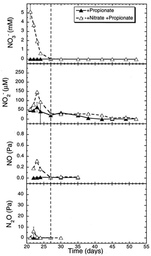 Effect of propionate additions to concentrations of nitrate and of denitrification intermediates (NO−2, NO, N2O) in rice soil slurries supplemented and not supplemented with nitrate. The dashed line indicates the time when methanogenesis in the nitrate treatments resumed. Data points are average of duplicate flasks and error bars represent ±1 S.D.