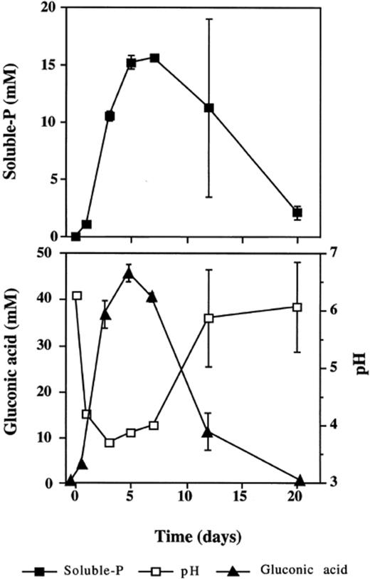 Rate of P solubilization, pH and gluconic acid production by the wild-type isolate P. rugulosum IR-94MF1 cultivated in a liquid medium with glucose as the sole C source and in the presence of 30 mM P provided as HA. Values are means of three replicates. Error bars (±S.D.) are shown when larger than the symbol.