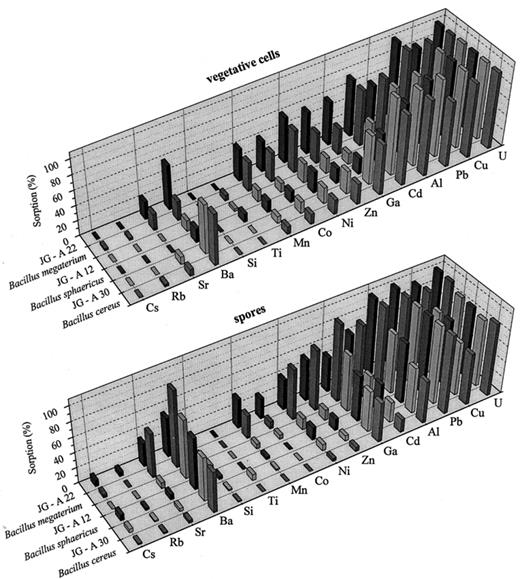 Selective accumulation of heavy metals by vegetative cells (upper panel) and spores (lower panel) of the strains studied.