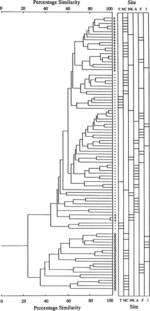 Dendrogram depicting relatedness among RSα- and RSβ-specific fingerprints of soybean bradyrhizobia from six field sites, Tokachi (T), Nakazawa (NC), Nagakura (NK), Ami (A), Fukuyama (F) and Ishigaki (I). ‘+’, ‘−’ and ‘e’ indicate B. japonicum hup+, B. japonicum hup− and B. elkanii, respectively. The bar in each column (labelled ‘Site’) to the right of the dendrogram indicates from which field the fingerprinted strain came.