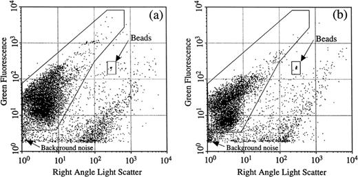 Flow cytometric analysis of fresh (a) and fixed (b) (formaldehyde, 2% final concentration) subsamples of coastal seawater stained with SYTO 13. The x and y axes show right angle light scatter (RALS) and green fluorescence (FL1) values (arbitrary units), respectively. Large windows on the left were drawn around fluorescent bacterial cells. Fluorescent microbeads (0.94-μm diameter) (small windows, on the upper right) were used as internal standard. Signal processing was triggered on green fluorescence (FL1).
