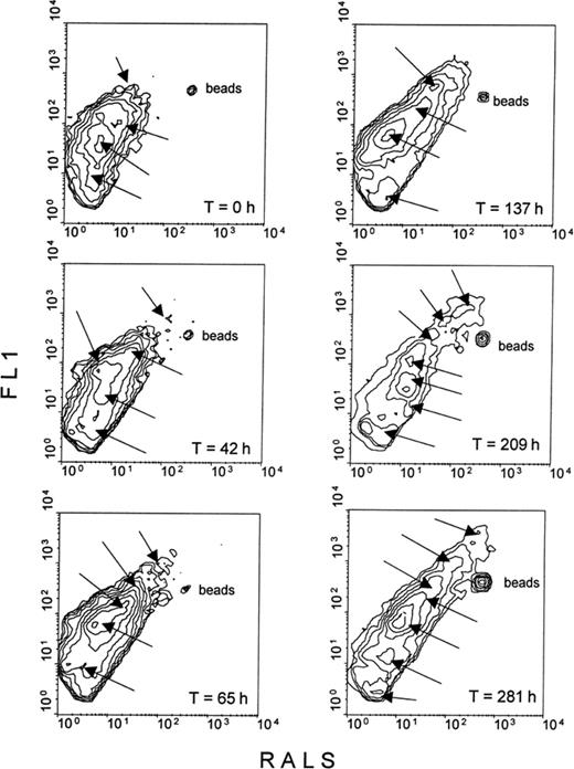 Flow cytometric analysis of seawater samples collected at different times during batch incubation of Mediterranean seawater, and stained with SYTO 13. Successive contours from outer to inner levels correspond to bacterial cell abundance increase. Arrows indicate the different bacterial populations that were discriminated. Fluorescent microbeads (0.94-μm diameter) (small spot, on the upper right) were added as internal standard.