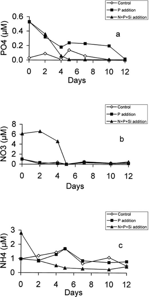 Development of PO4 (a), NO3 (b) and NH4 (c) concentration in the control, P-enriched and (N+P+Si)-enriched microcosms.