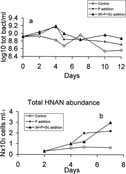Total bacteria (a) and HNAN (b) abundance in the control, P-enriched and (N+P+Si)-enriched microcosms.