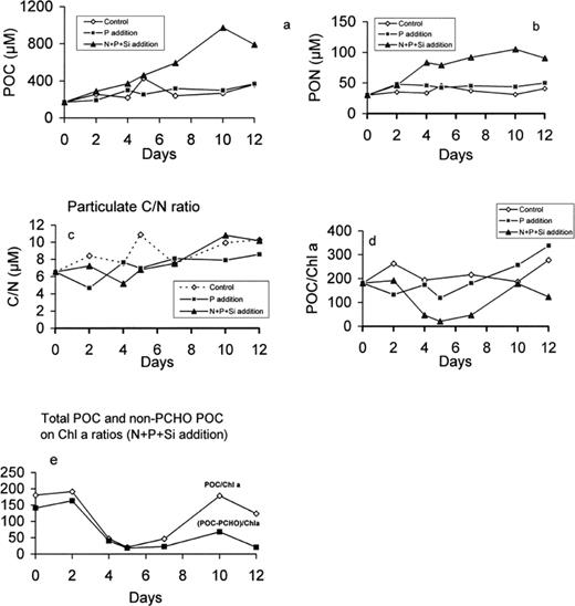 Particulate organic carbon (a) and nitrogen (b) concentration, C/N ratio (c), POC/chlorophyll ratio (d) in the control, P-enriched and (N+P+Si)-enriched microcosms and non-CHO POC vs chlorophyll ratio (e) in (N+P+Si)-enriched microcosms.