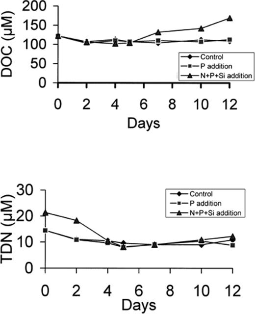 DOC (a) and TDN (b) concentration in the control, P-enriched and (N+P+Si)-enriched microcosms.