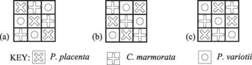 Example maps showing the spatial distribution of fungal species in the 3×3 (equal proportion) tessellated agar tile interactions at the onset of the experiment. a: Arrangement 2a. b: Arrangement 2b. c: Arrangement 2c. Bold lines denote air gaps between individual tiles. Dimension of each tile is 1 cm2. Symbols indicate the species inoculated onto each tile.