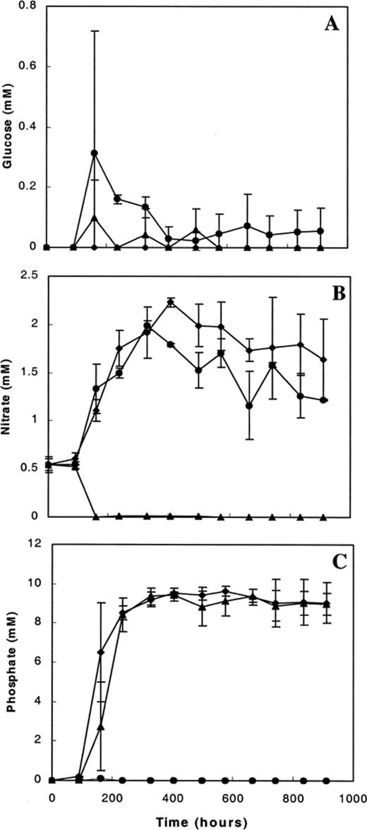 Residual concentrations (mean±S.D.) of glucose (A), nitrate (B) and phosphate (C) in the mixed continuous cultures during the course of cultivation. The medium pump was started at 89 h after transfer of the surface water to the culture vessels. The average residual concentration measured in the four carbon-limited (diamonds), the four nitrate-limited (triangles) and the two phosphate-limited (circles) mixed continuous cultures is shown.
