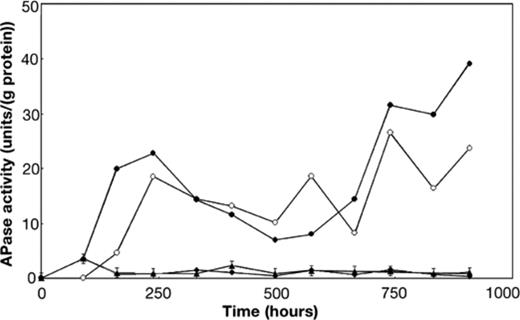 Specific cell-bound APase activity in the continuous cultures. The specific activity in the phosphate-limited cultures with (open circles) and without (filled circles) FB and the average specific activity in the four carbon- (diamonds) and the four nitrate-limited cultures (triangles) is shown.