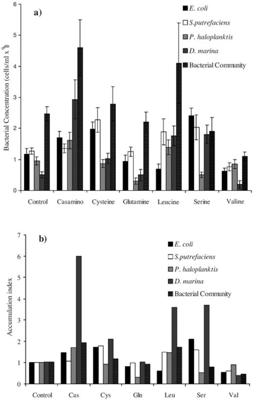Bacterial accumulations in response to the bead load stimulants depicted as both a: total cell abundances (means±95% confidence intervals) and b: as an accumulation index (bead, control Sephadex beads with no added stimulant; Cas, casamino acid; Cys, cysteine; Gln, glutamine; Leu, leucine; Ser, serine; Val, valine).