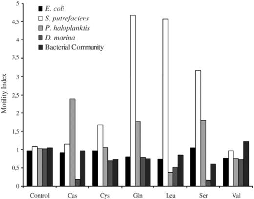 Motility index shows the relative proportion of motile cells that accumulated near the stimulant beads (bead, Sephadex bead with no stimulant; Cas, casamino acid; Cys, cysteine; Gln, glutamine; Leu, leucine; Ser, serine; Val, valine).