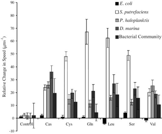 Relative change in speed, depicts the change in average speed above or below the controls for the different bacteria in response to the stimulant sources (bead, Sephadex bead with no stimulant; Cas, casamino acid; Cys, cysteine; Gln, glutamine; Leu, leucine; Ser, serine; Val, valine). Error bars are the standard deviations.