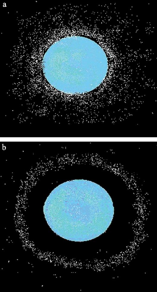 Two-dimensional schematic of the bacterial accumulation around a bead. a: En masse accumulation of bacterial cells near an attractant. b: Depicts a structured accumulation of bacteria in a band rather than en masse and to a stimulant point-like source.