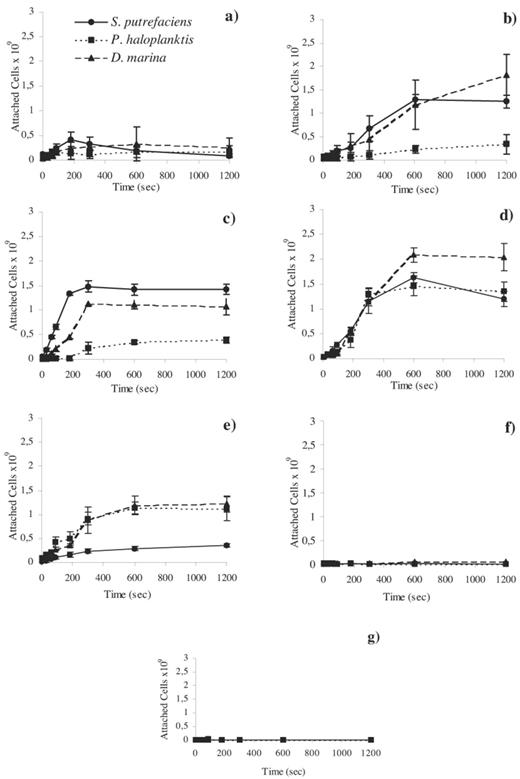 These figures show the attachment time of the marine isolates S. putrefaciens, P. haloplanktis, and D. marina to a: control with only beads, b: cysteine, c: serine, d: leucine, e: casamino acid, f: glutamine, and g: valine. The attached cells×109 are in cells ml−1, error bars represent the 95% confidence interval.