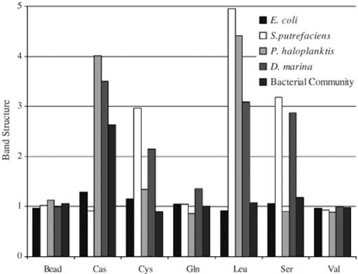The band structure depicts the pattern or structure of the bacterial accumulations. The higher the number the tighter the clustering of the cells, values below 2 indicate accumulation without organisation (bead, Sephadex bead with no stimulant; Cas, casamino acid; Cys, cysteine; Gln, glutamine; Leu, leucine; Ser, serine; Val, valine).