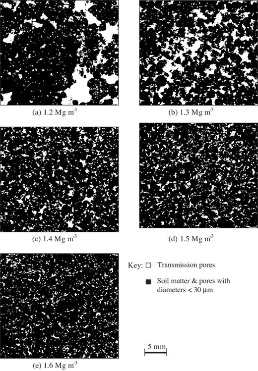 >30 μm within the soil matrix generated by different bulk densities.